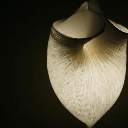 Les 4 Etoiles Bed & Breakfast 3*