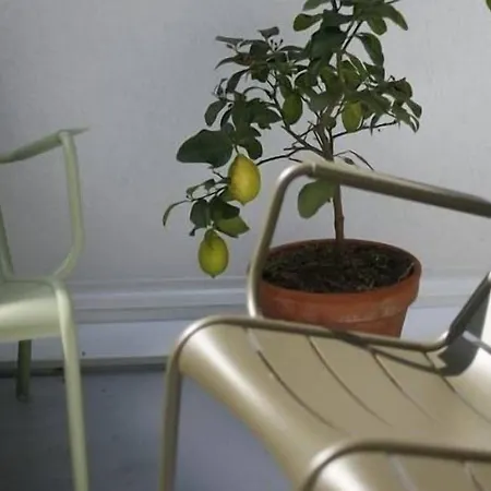 Panzió Les 4 Etoiles