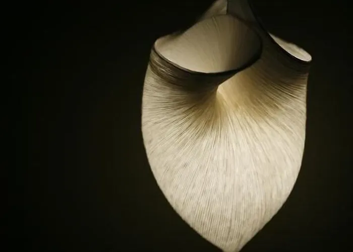 Les 4 Etoiles Bed & Breakfast 3*