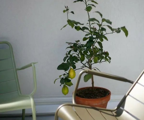 Les 4 Etoiles Bed & Breakfast